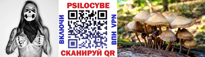 Галлюциногенные грибы GOLDEN TEACHER  кракен ТОР  Сосновый Бор 