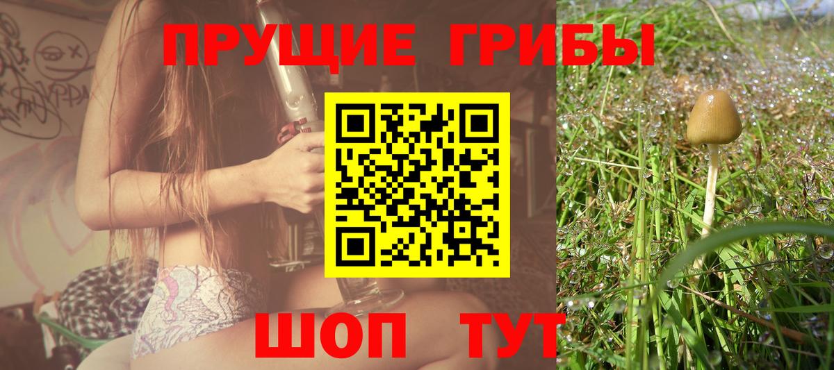 Галлюциногенные грибы Magic Shrooms Сосновый Бор